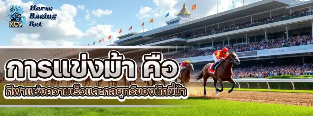 การแข่งม้า คือ